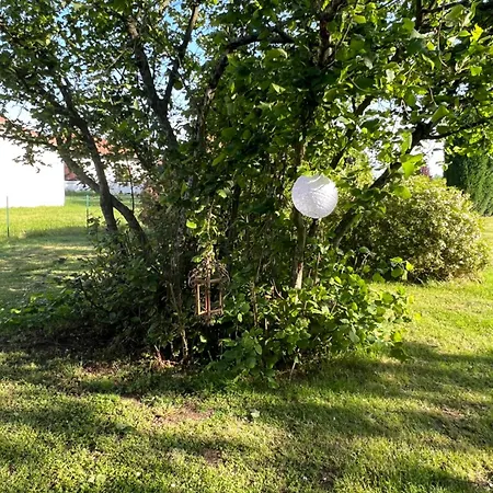 Heron Maison Bed & Breakfast Roumazieres