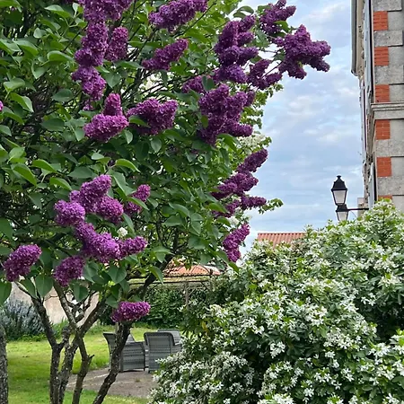 Heron Maison