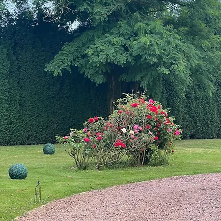 Bed & Breakfast Heron Maison *